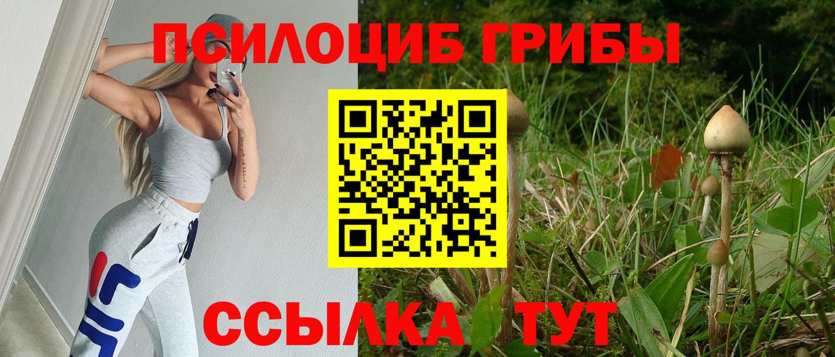 Псилоцибиновые грибы MAGIC MUSHROOMS  Вход с VPN  Алексеевка  Псилоцибиновые грибы Cubensis 