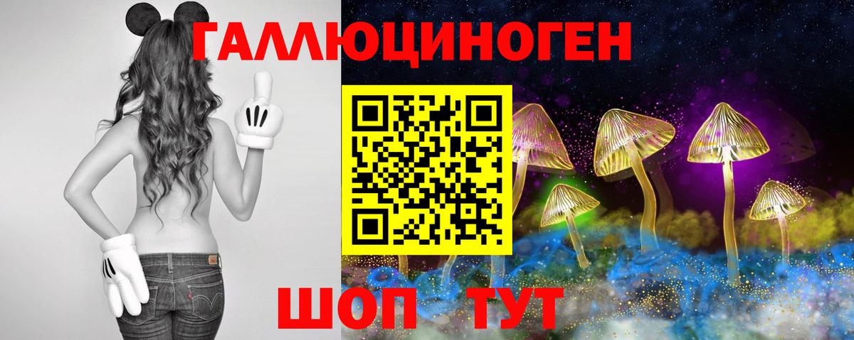 Псилоцибиновые грибы MAGIC MUSHROOMS Алексеевка